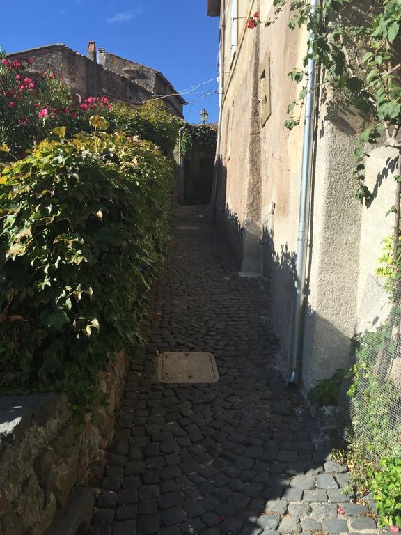 La Casa Sul Lago Anguillara Sabazia Exterior foto